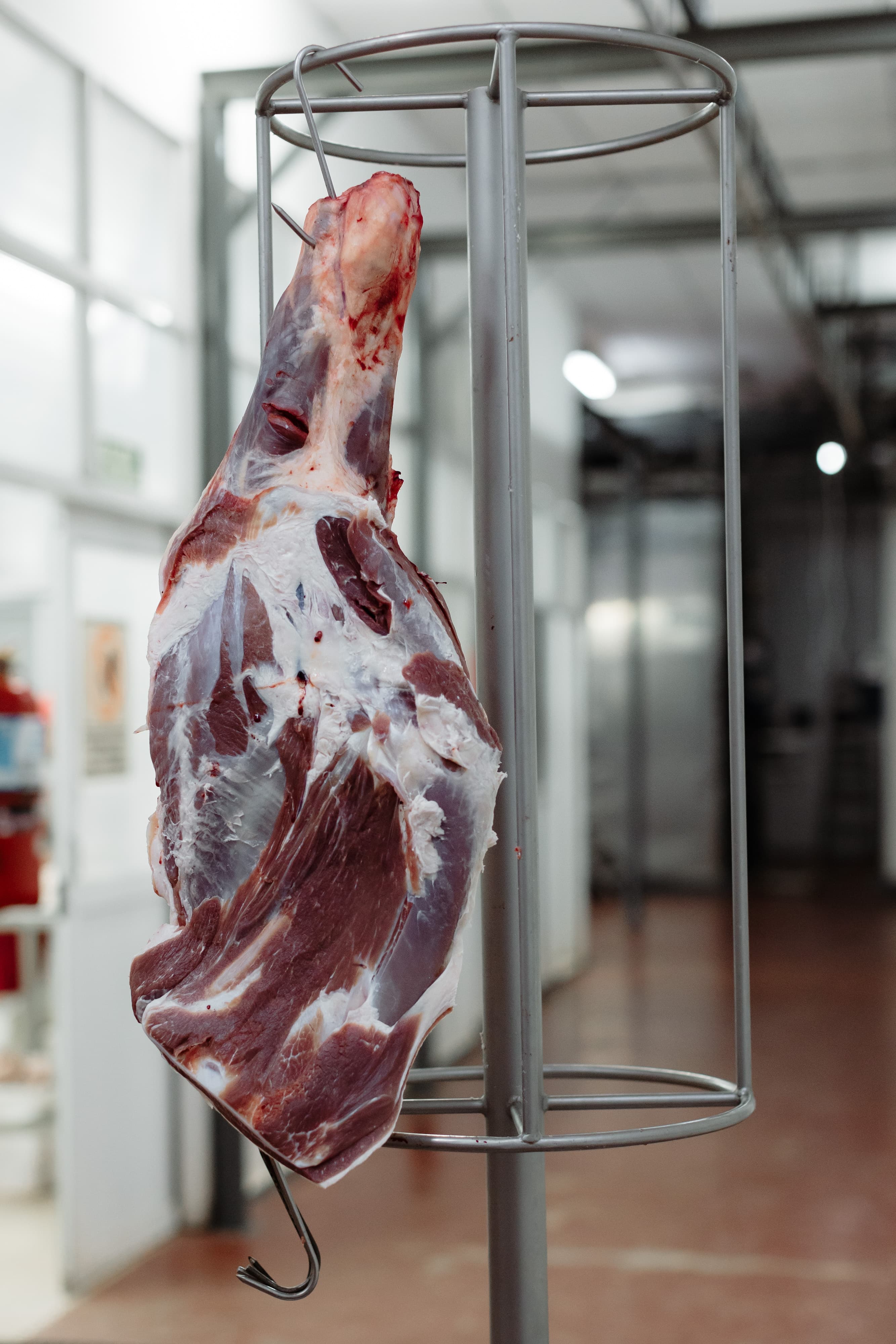 Mostrador de carne fresca - Cooperativa Fátima